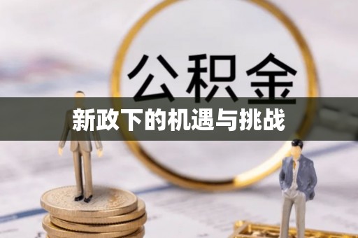 市南新政下的机遇与挑战