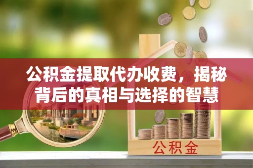 市南公积金提取代办收费，揭秘背后的真相与选择的智慧
