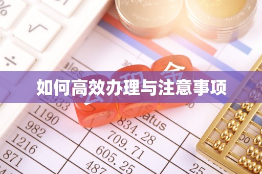 市南如何高效办理与注意事项
