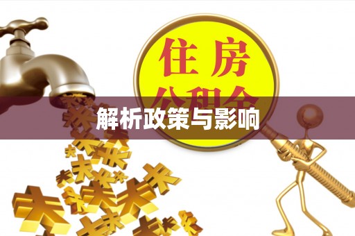 市南解析政策与影响