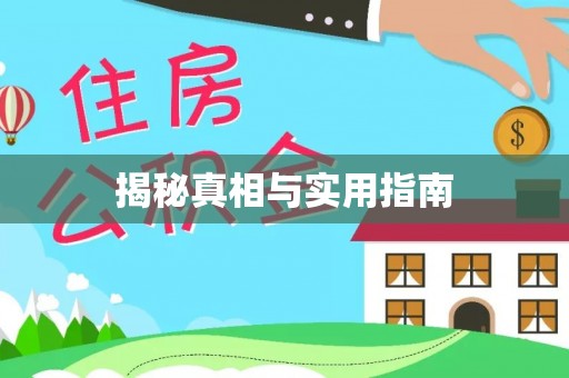 市南揭秘真相与实用指南