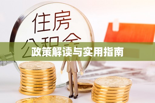 市南政策解读与实用指南