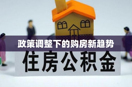市南政策调整下的购房新趋势