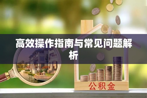 市南高效操作指南与常见问题解析