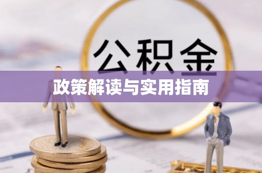 市南政策解读与实用指南