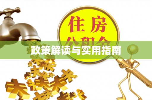 市南政策解读与实用指南