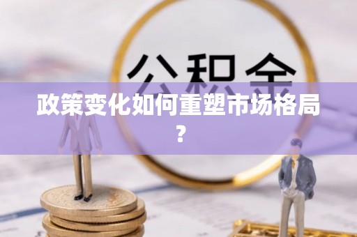 市南政策变化如何重塑市场格局？