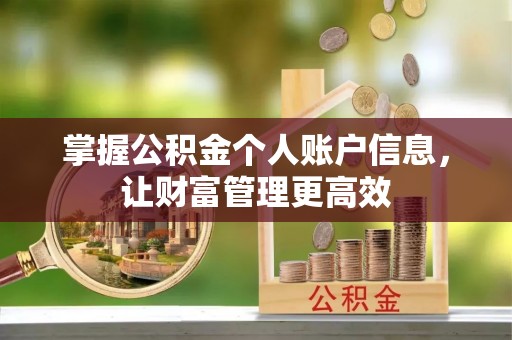 市南掌握公积金个人账户信息，让财富管理更高效