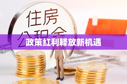 市南政策红利释放新机遇