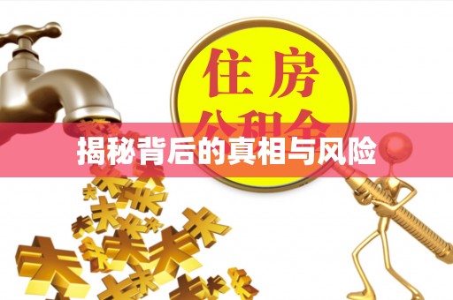 市南揭秘背后的真相与风险