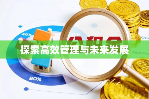 市南探索高效管理与未来发展