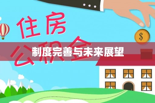 市南制度完善与未来展望
