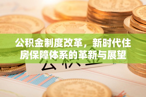 市南公积金制度改革，新时代住房保障体系的革新与展望