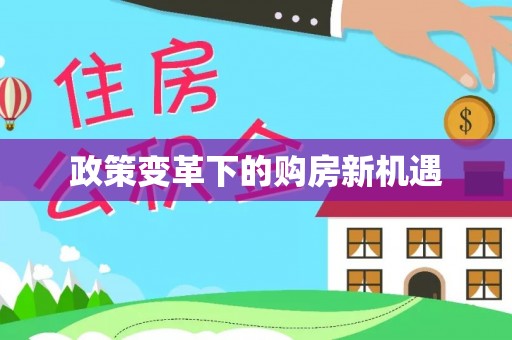 市南政策变革下的购房新机遇