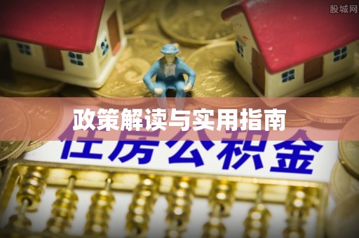 市南政策解读与实用指南