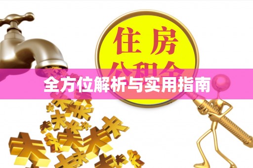 市南全方位解析与实用指南