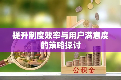 市南提升制度效率与用户满意度的策略探讨